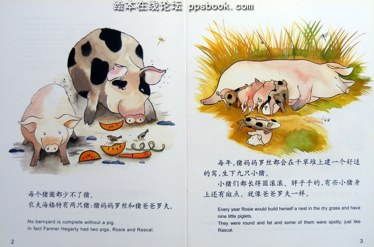 小猪奥克 (02),绘本,绘本故事,绘本阅读,故事书,童书,图画书,课外阅读